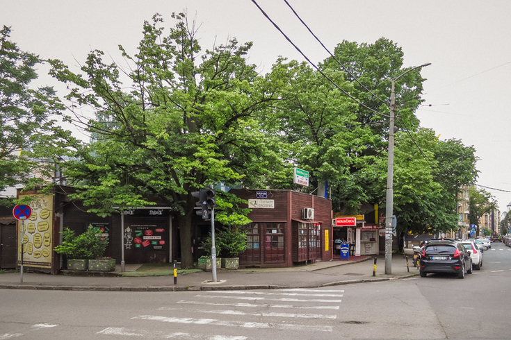 Gradić Pejton: odakle sred beogradske džungle pitoma drvena košnica?